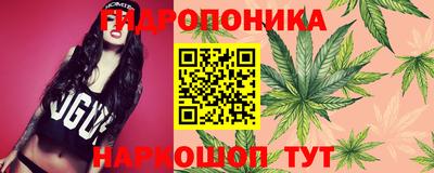 экстази Ачхой-Мартан
