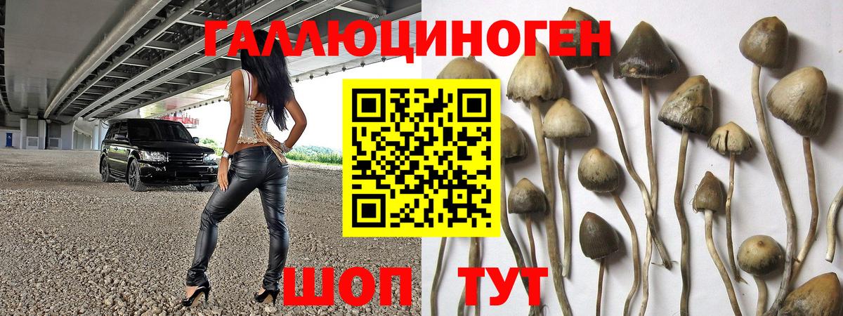 Псилоцибиновые грибы прущие грибы  сколько стоит  Черняховск  Вход с VPN 
